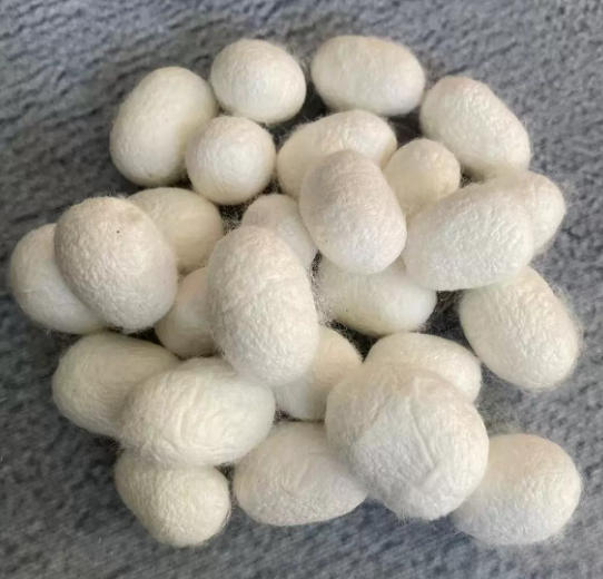 Silk